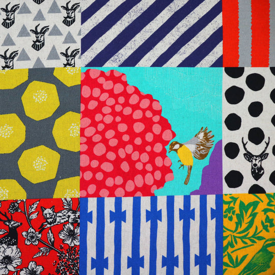 Echino - 20th Anniversary Collection Canvas