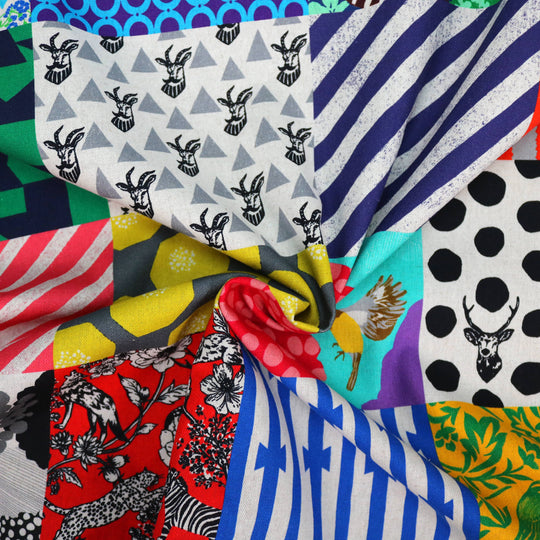 Echino - 20th Anniversary Collection Canvas