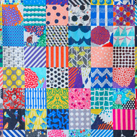 Echino - 20th Anniversary Collection Canvas