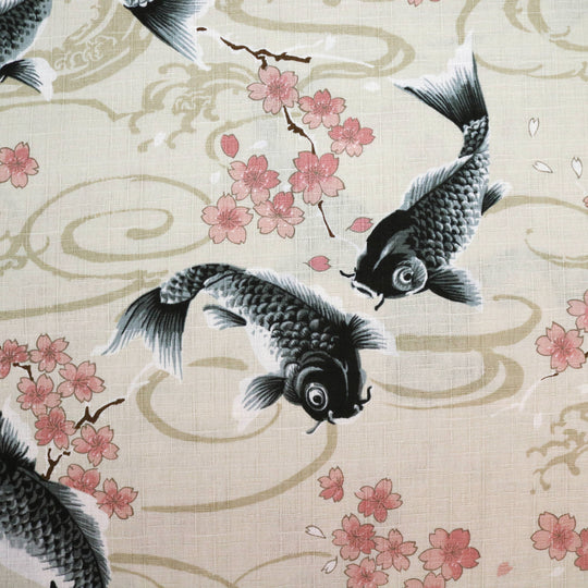 Koi Karpfen und Kirschblüten - Creme