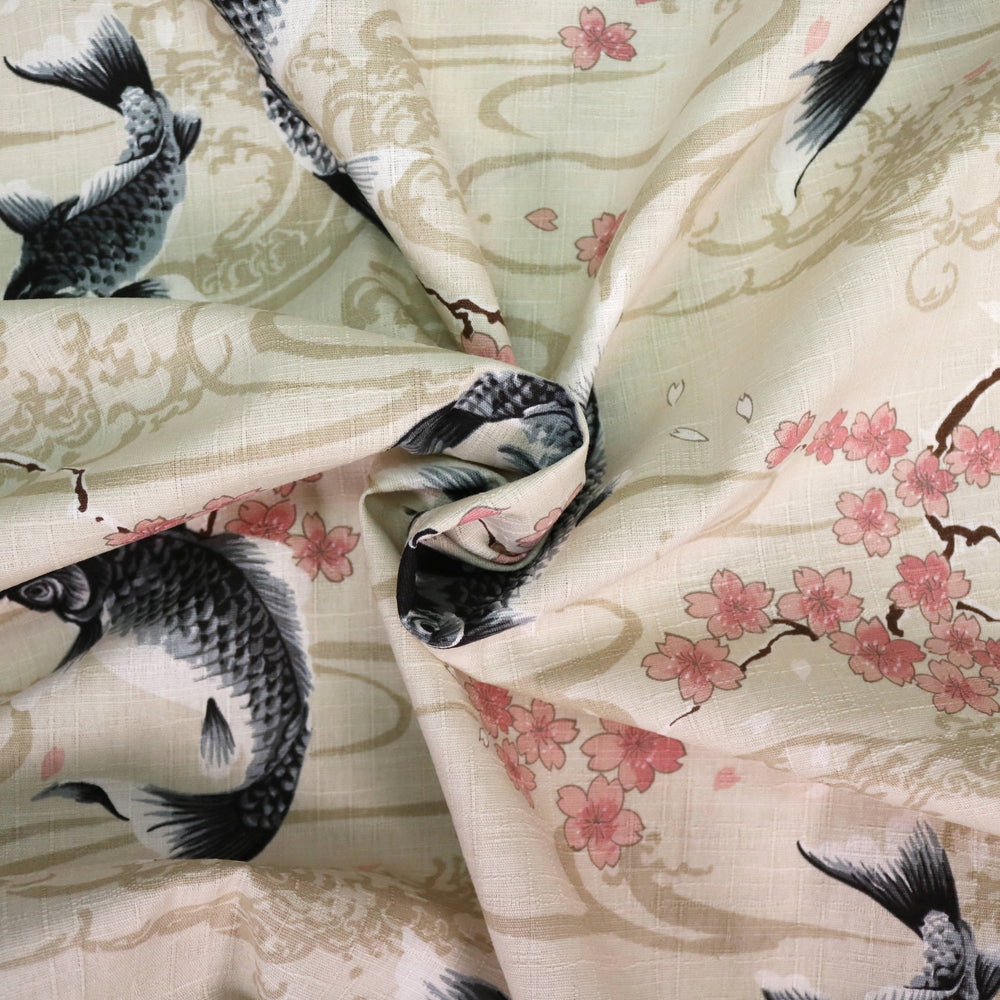 Koi Karpfen und Kirschblüten - Creme