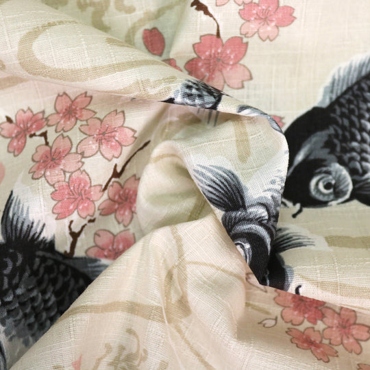 Koi Karpfen und Kirschblüten - Creme
