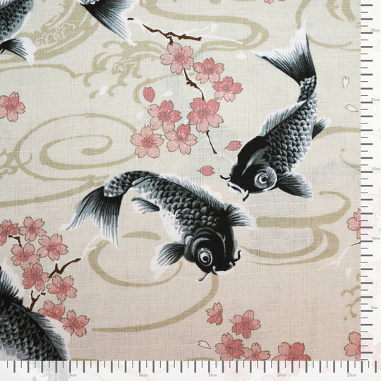 Koi Karpfen und Kirschblüten - Creme