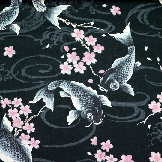 Koi Karpfen und Kirschblüten - Schwarz