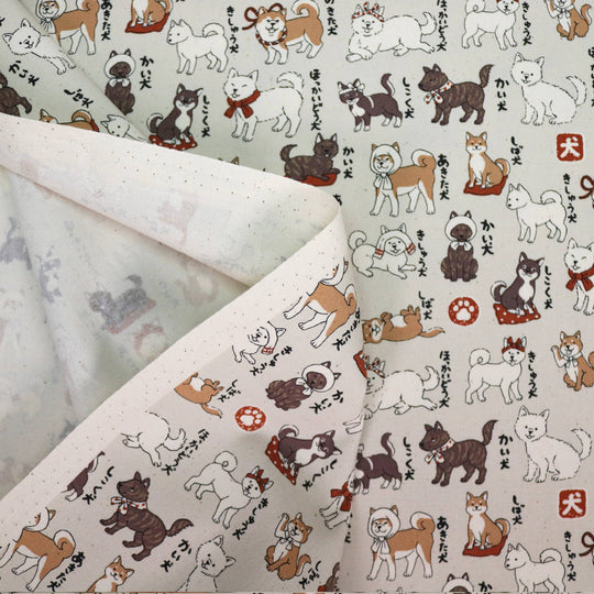 Shiba Inu Hunderassen - Creme