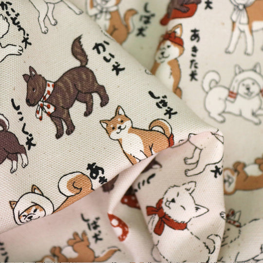 Shiba Inu Hunderassen - Creme