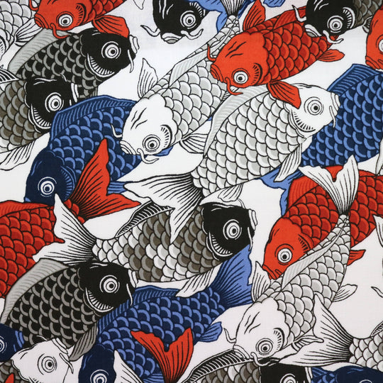 Tanz der Koi Karpfen - Weiß Blau