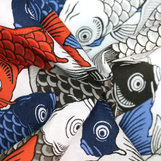 Tanz der Koi Karpfen - Weiß Blau