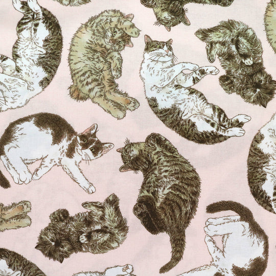 365 Cat Art - Cats Everywhere
