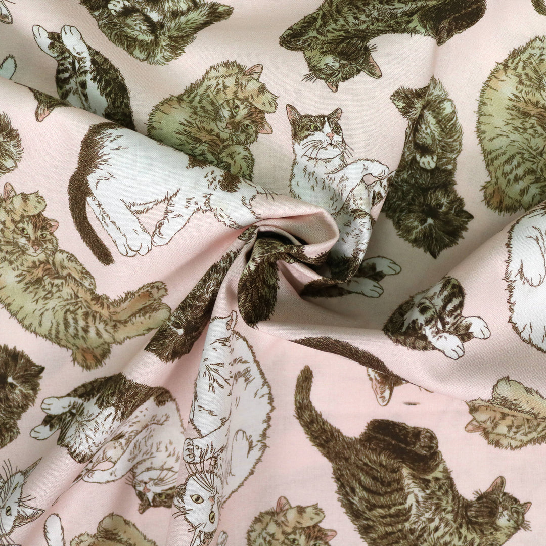 365 Cat Art - Cats Everywhere