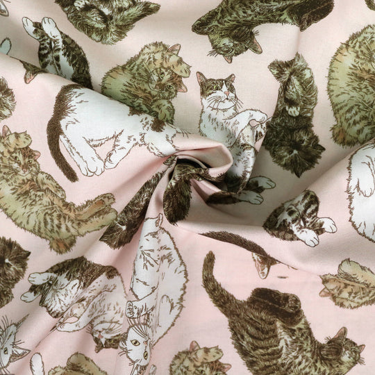 365 Cat Art - Cats Everywhere