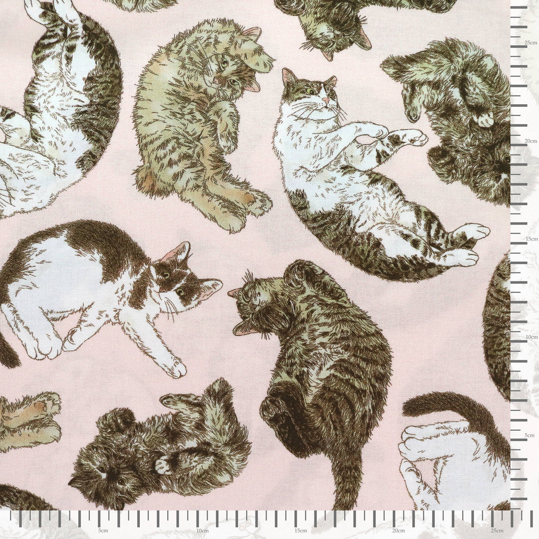 365 Cat Art - Cats Everywhere