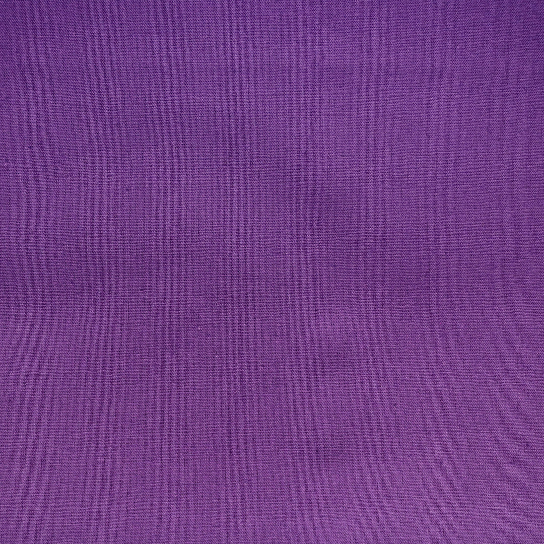 Echino - Solid color - Lila