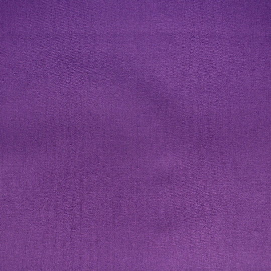 Echino - Solid color - Lila