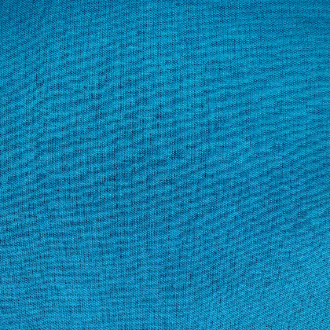 Echino - Solid color - Aqua