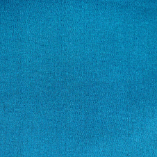 Echino - Solid color - Aqua
