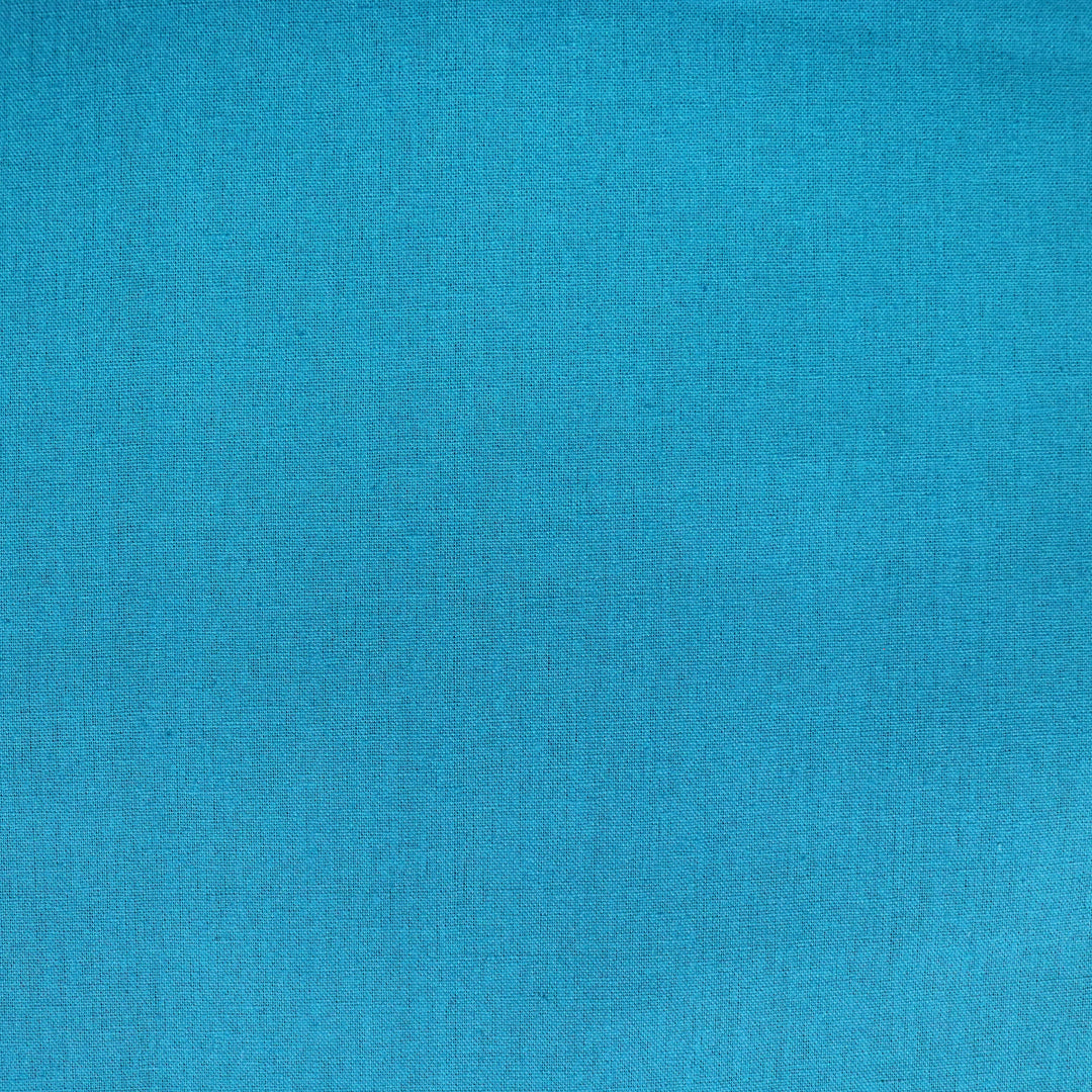 Echino - Solid color - Aqua