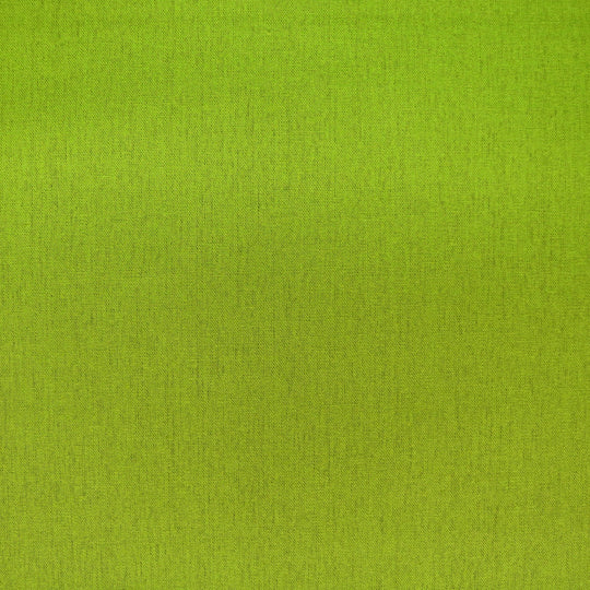 Echino - Solid color - Grün