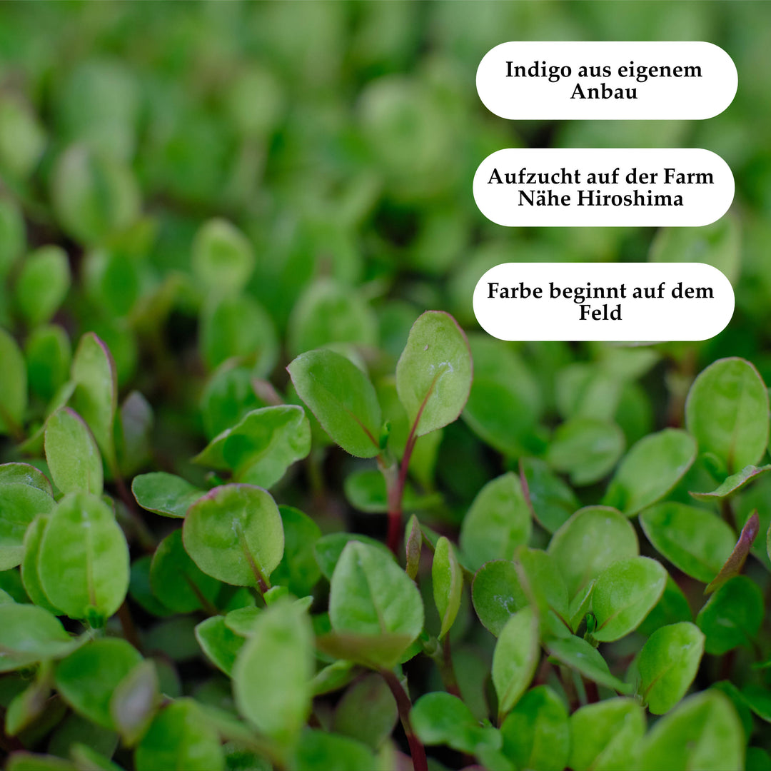 Indigo Sashiko Garn - handgefärbt - 03 kachiiro