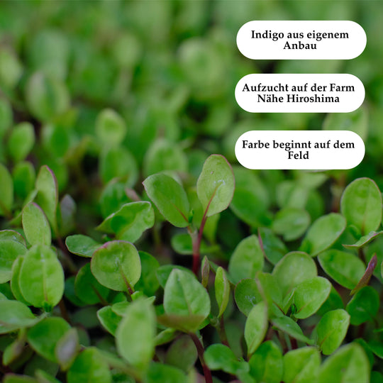 Indigo Sashiko Garn - handgefärbt - 03 kachiiro